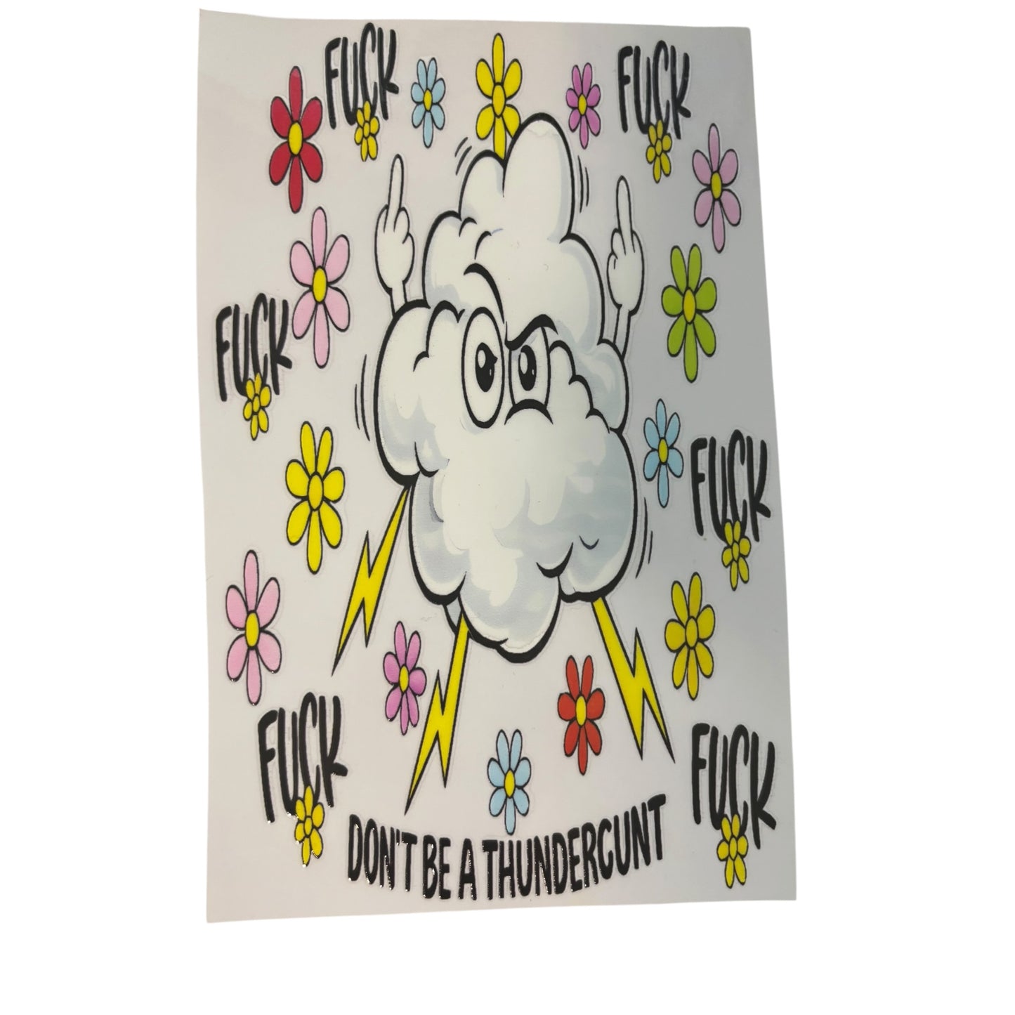 Item #10 Book Cover Image
