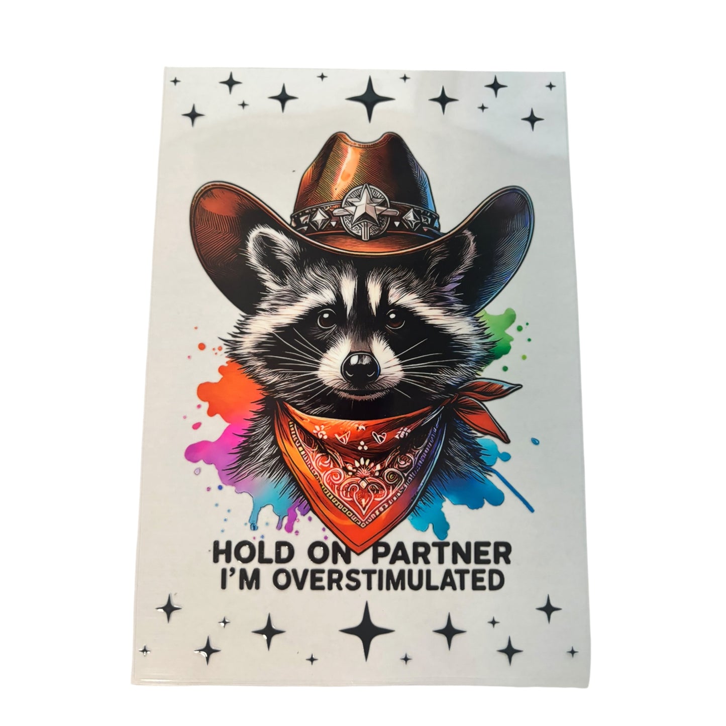 Item #11 Book Cover Image