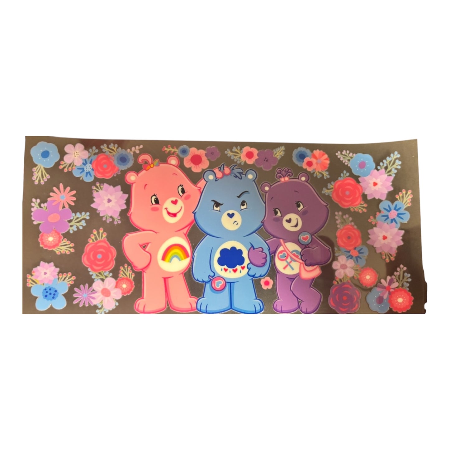 Bears Item#9